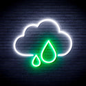 advpro-cloud-and-rain-droplet-ultra-bright-led-neon-sign-fnu0011 - White & Green