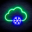 advpro-cloud-and-snowflake-ultra-bright-led-neon-sign-fnu0013 - Green & Blue