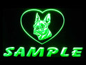ADVPRO Name Personalized Custom Boston Terrier Dog House Home Neon Sign st4-vc-tm - Green