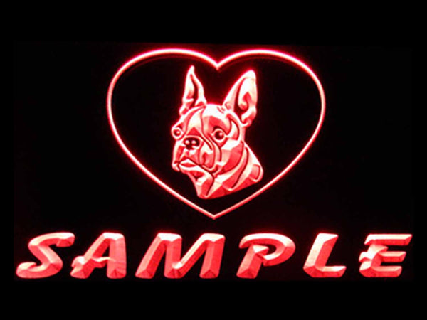 ADVPRO Name Personalized Custom Boston Terrier Dog House Home Neon Sign st4-vc-tm - Red