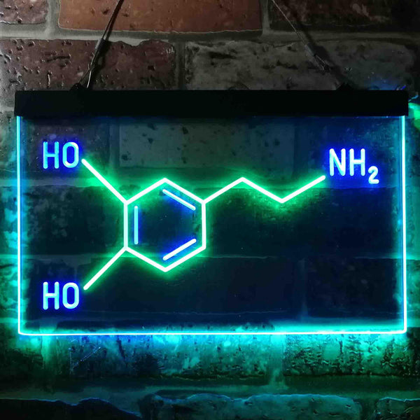 ADVPRO Chemical Formula Funny Bedroom Decoration Dual Color LED Neon Sign st6-i3624 - Green & Blue