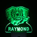 ADVPRO Brittany Spaniel Personalized Night Light Name Day/Night Sensor LED Sign ws1058-tm - Green