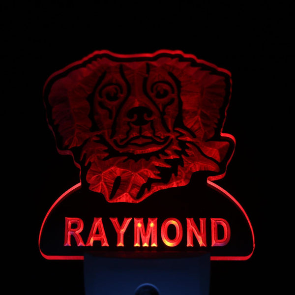 ADVPRO Brittany Spaniel Personalized Night Light Name Day/Night Sensor LED Sign ws1058-tm - Red