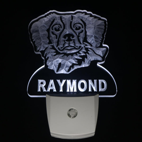 ADVPRO Brittany Spaniel Personalized Night Light Name Day/Night Sensor LED Sign ws1058-tm - White